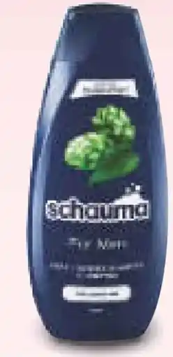 Netto Marken-Discount Schwarzkopf Schauma Shampoo Angebot