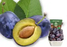 Edeka Unsere Heimat echt & gut Bio-Zwetschgen Angebot