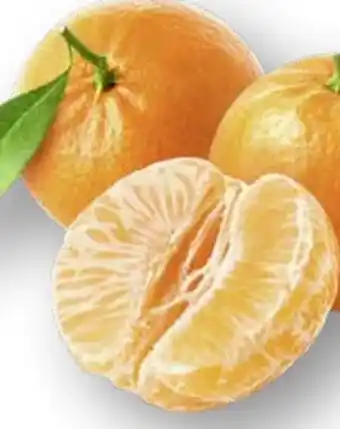 Edeka Mandarinen Angebot