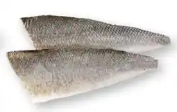 Scheck-in-Center Wolfsbarschfilet Angebot