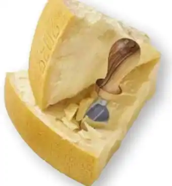 Scheck-in-Center Parmigiano Reggiano Angebot