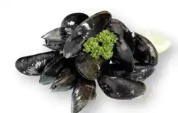 Scheck-in-Center Premium Nordsee Muscheln Angebot