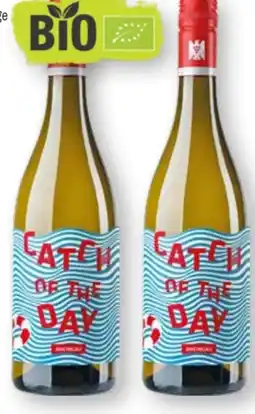Scheck-in-Center Bioweingut Kaufmann Catch of the day Angebot