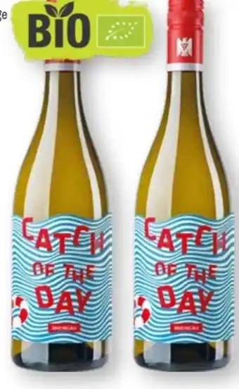 Scheck-in-Center Bioweingut Kaufmann Catch of the day Angebot