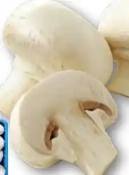 Edeka Gut & Günstig Champignons Angebot