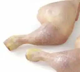 Edeka Hähnchenschenkel Angebot