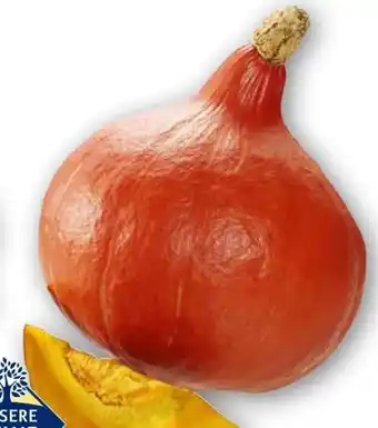 Edeka Unsere Heimat Echt & Gut Bio Hokkaido-Kürbis Angebot