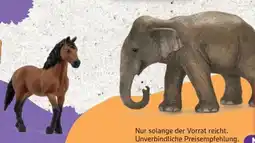 Edeka Schleich Tierfiguren Angebot
