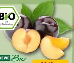 REWE Center Rewe Bio Pflaumen Angebot
