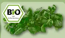 REWE Rewe Bio Feldsalat Angebot