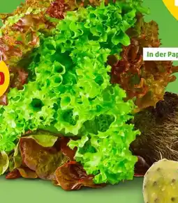 PENNY Marktliebe Bunte Salate Angebot