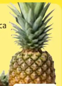 Edeka Frischemarkt Ananas Angebot