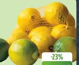 Edeka Bio-Zitronen Angebot