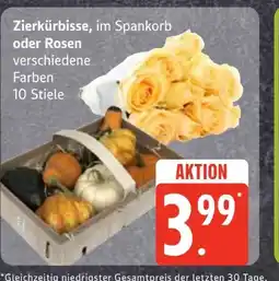 Edeka Zierkürbisse Angebot
