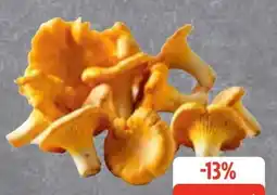 Edeka Pfifferlinge Angebot