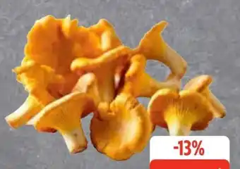 Edeka Pfifferlinge Angebot