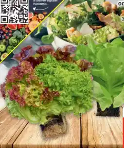 Edeka Edeka Herzstücke Ballensalat Mix Angebot