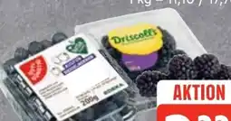 Edeka Gut & Günstig Kulturheidelbeeren Angebot