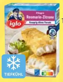 Edeka Iglo Filegro Angebot