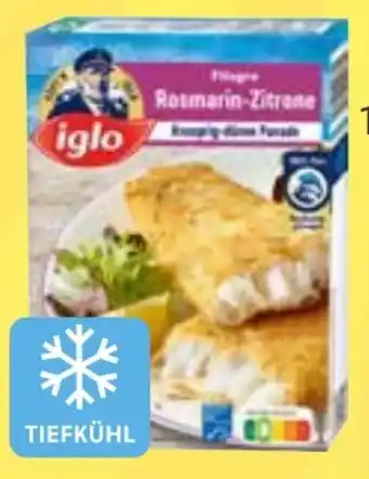 Edeka Iglo Filegro Angebot
