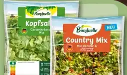 REWE Center Bonduelle Kopfsalat Gartenkräuter Mix Angebot