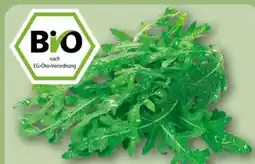 REWE Center Rewe Bio Bio-Rucola Angebot