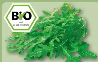 REWE Center Rewe Bio Bio-Rucola Angebot