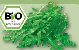 REWE Rewe Bio Bio-Rucola Angebot