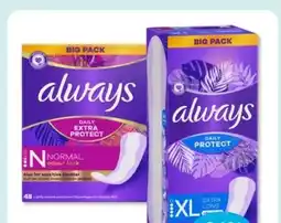 Budni Always Slipeinlagen Daily Protect XL Angebot