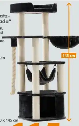 Globus Baumarkt Nobby Katzenkratzbaum Zada Angebot