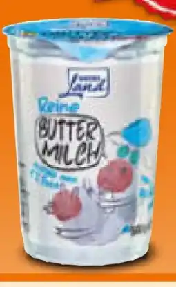 Netto Marken-Discount Müller Reine Buttermilch Angebot