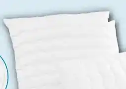 PENNY John Cotton Kopfkissen Angebot