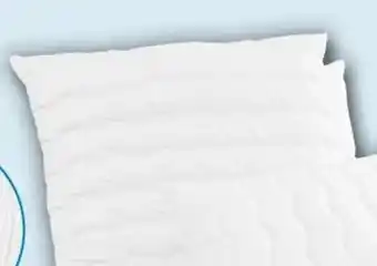 PENNY John Cotton Kopfkissen Angebot