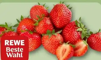 REWE Rewe Beste Wahl Erdbeeren Angebot
