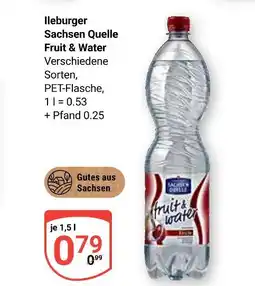 Globus Ileburger sachsen quelle fruit & water Angebot