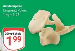 Globus Austernpilze Angebot