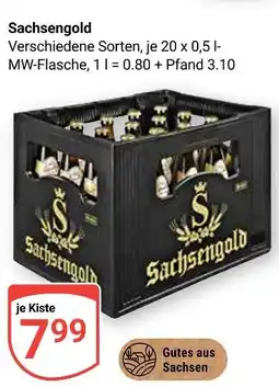 Globus Sachsengold verschiedene sorten Angebot