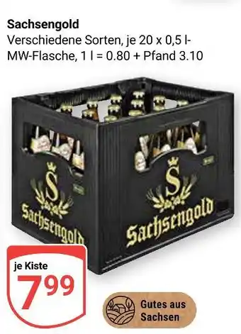 Globus Sachsengold verschiedene sorten Angebot