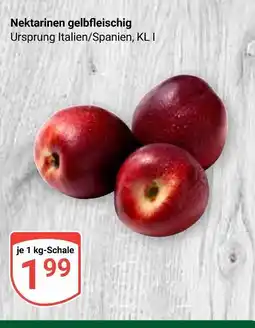 Globus Nektarinen gelbfleischig Angebot
