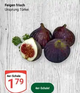 Globus Feigen frisch Angebot