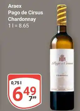 Globus Araex pago de cirsus chardonnay Angebot