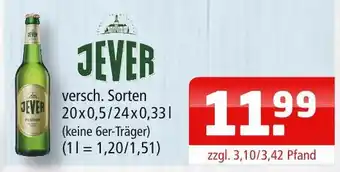 Getränke Oase Jever pilsener Angebot