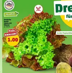 PENNY Marktliebe deutsche bunte salate mit wurzel Angebot