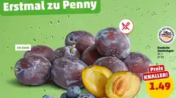 PENNY Deutsche zwetschgen Angebot