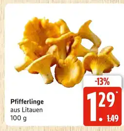 Marktkauf Pfifferlinge Angebot
