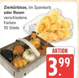 Marktkauf Zierkürbisse Angebot