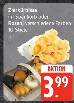 Edeka Zierkürbisse oder rosen Angebot