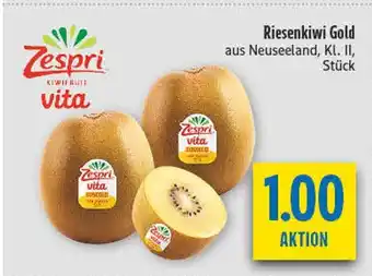 diska Zespri riesenkiwi gold Angebot
