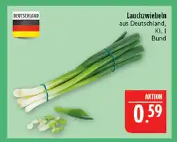 Marktkauf Lauchzwiebeln Angebot