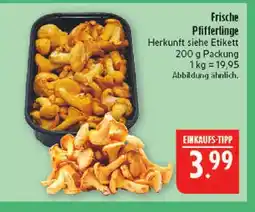 Marktkauf Frische pfifferlinge Angebot
